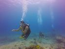 Hawaii Scuba divng 12