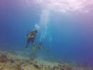 Hawaii Scuba divng 13