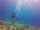 Hawaii Scuba divng 14