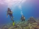 Hawaii Scuba divng 15