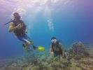 Hawaii Scuba divng 16