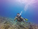 Hawaii Scuba divng 19