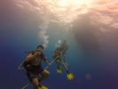 Hawaii Scuba divng 01