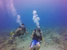 Hawaii Scuba divng 24