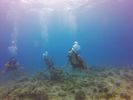 Hawaii Scuba divng 25