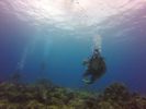 Hawaii Scuba divng 27