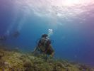 Hawaii Scuba divng 28