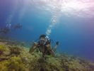 Hawaii Scuba divng 29