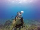 Hawaii Scuba divng 31