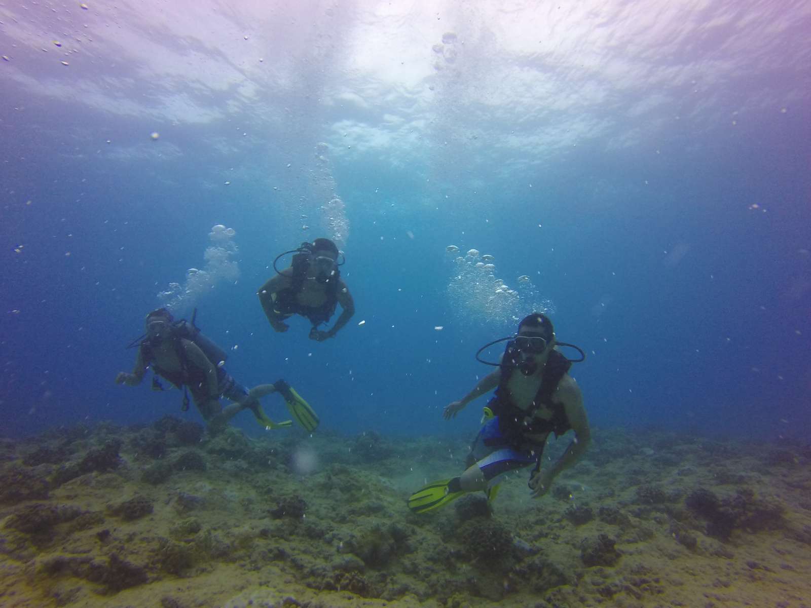 Hawaii Scuba Diving - 08-21-2016