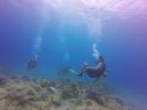 Hawaii Scuba divng 35