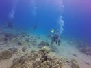 Hawaii Scuba divng 38