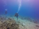 Hawaii Scuba divng 40