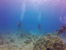 Hawaii Scuba divng 41