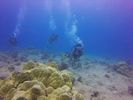 Hawaii Scuba divng 43