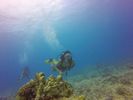 Hawaii Scuba divng 44