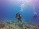 Hawaii Scuba divng 45