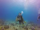 Hawaii Scuba divng 46