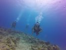 Hawaii Scuba divng 49