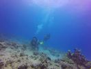 Hawaii Scuba divng 51