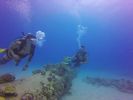 Hawaii Scuba divng 53