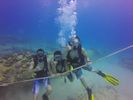 Hawaii Scuba divng 56