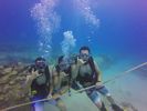 Hawaii Scuba divng 57