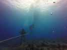 Hawaii Scuba divng 59