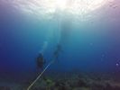 Hawaii Scuba divng 60