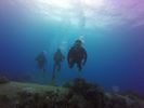 Hawaii Scuba divng 61