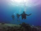 Hawaii Scuba divng 62