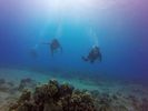 Hawaii Scuba divng 63