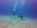 Hawaii Scuba divng 65