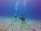 Hawaii Scuba divng 66