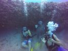 Hawaii Scuba divng 70