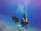 Hawaii Scuba divng 72