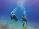 Hawaii Scuba divng 73