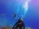 Hawaii Scuba divng 76