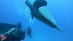 Oahu scuba 34