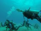 Hawaii Scuba divng 11