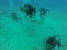 Hawaii Scuba divng 12