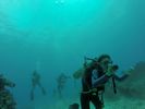 Hawaii Scuba divng 17