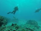 Hawaii Scuba divng 20