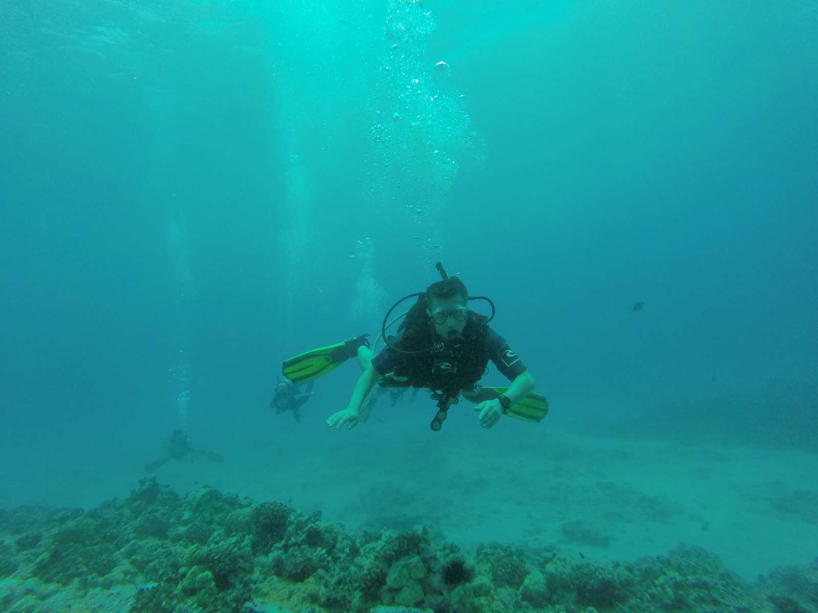 Hawaii Scuba Diving - 08-22-2016