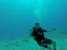 Hawaii Scuba divng 24