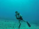 Hawaii Scuba divng 29