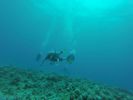 Hawaii Scuba divng 31