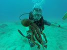 Hawaii Scuba divng 34