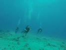 Hawaii Scuba divng 03