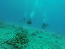 Hawaii Scuba divng 04